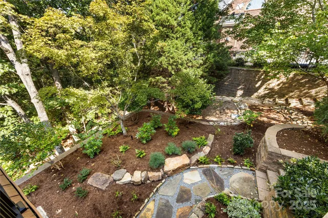 a view of a tree with a yard