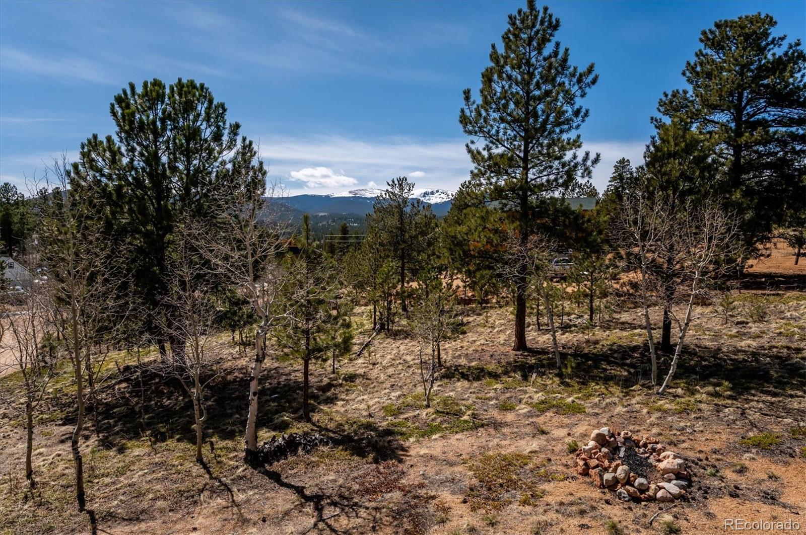 83 El Lobo Lane Bailey, CO 80421 - Photo 29 of 30