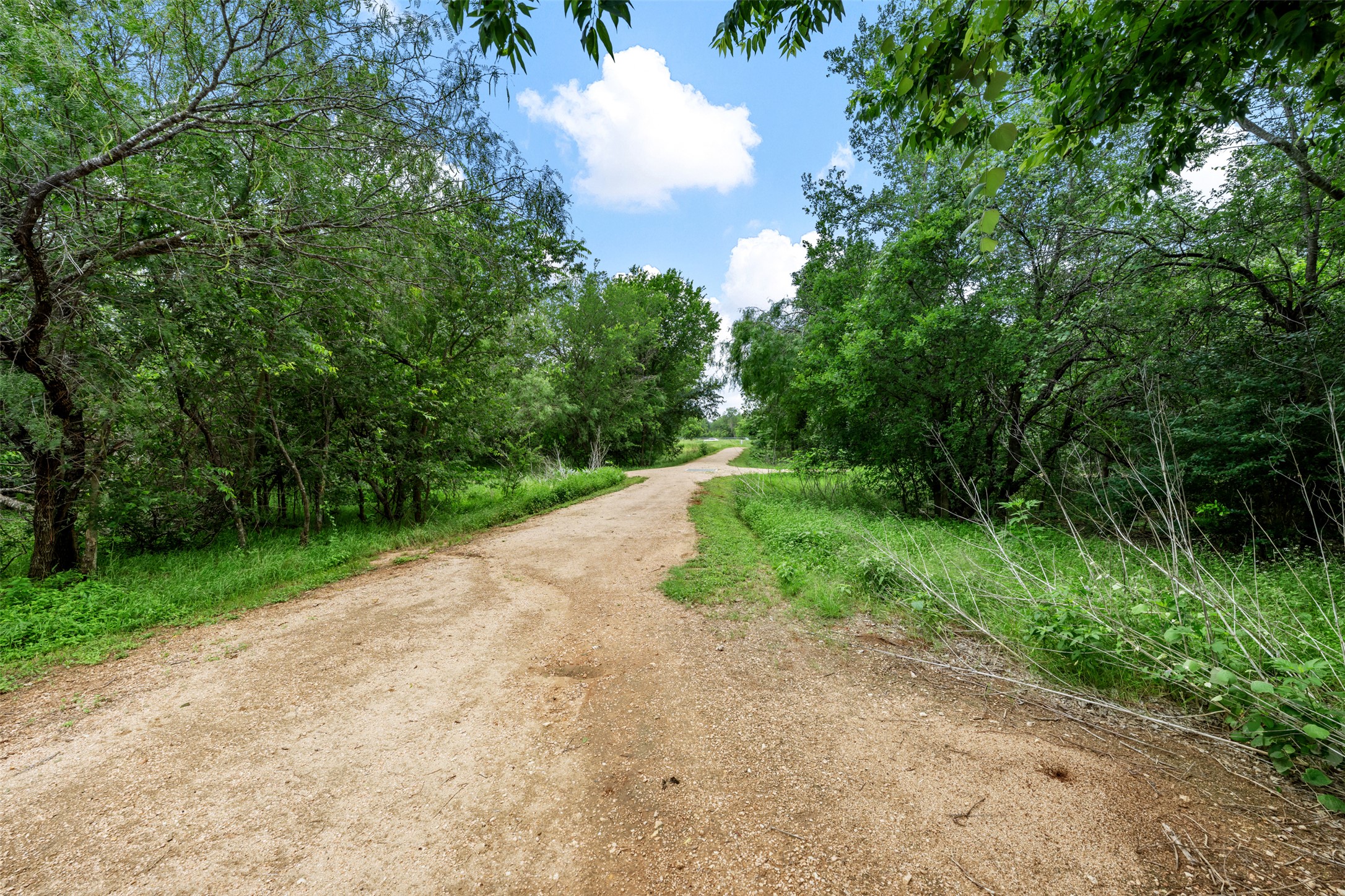 14900 Retha Pass Austin, TX 78725 - Photo 31 of 39 Natural terrain path with surrounding mature trees and dense foliage