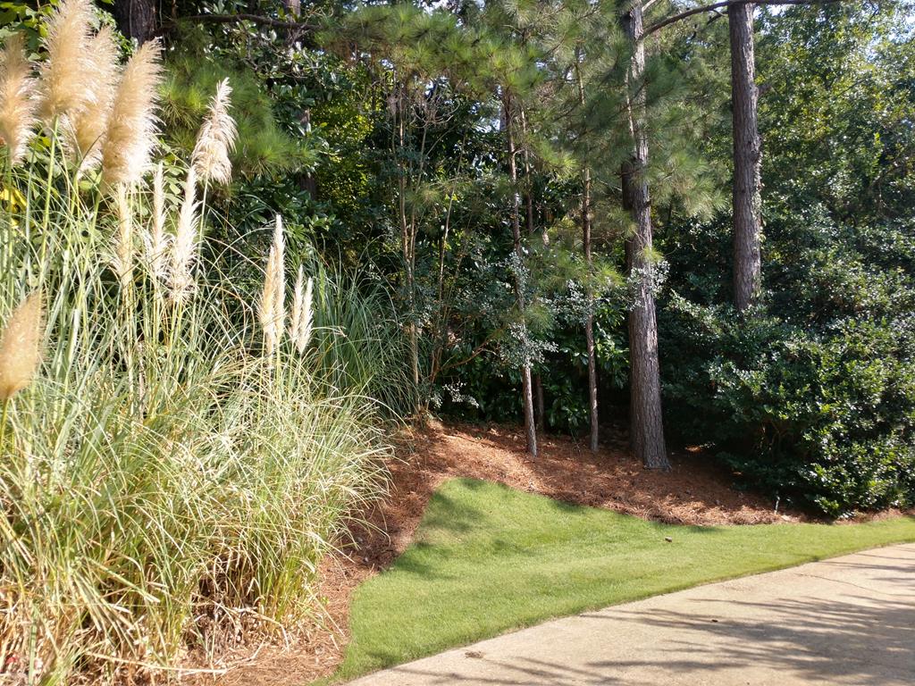 7136 Lullwater Road Columbus, GA 31904 - Photo 5 of 64 Gallery Image 5