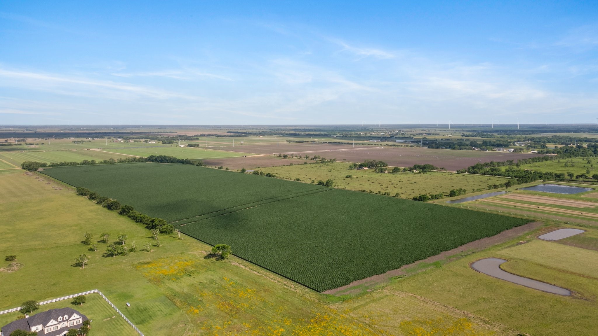 a view of an ocean and beach