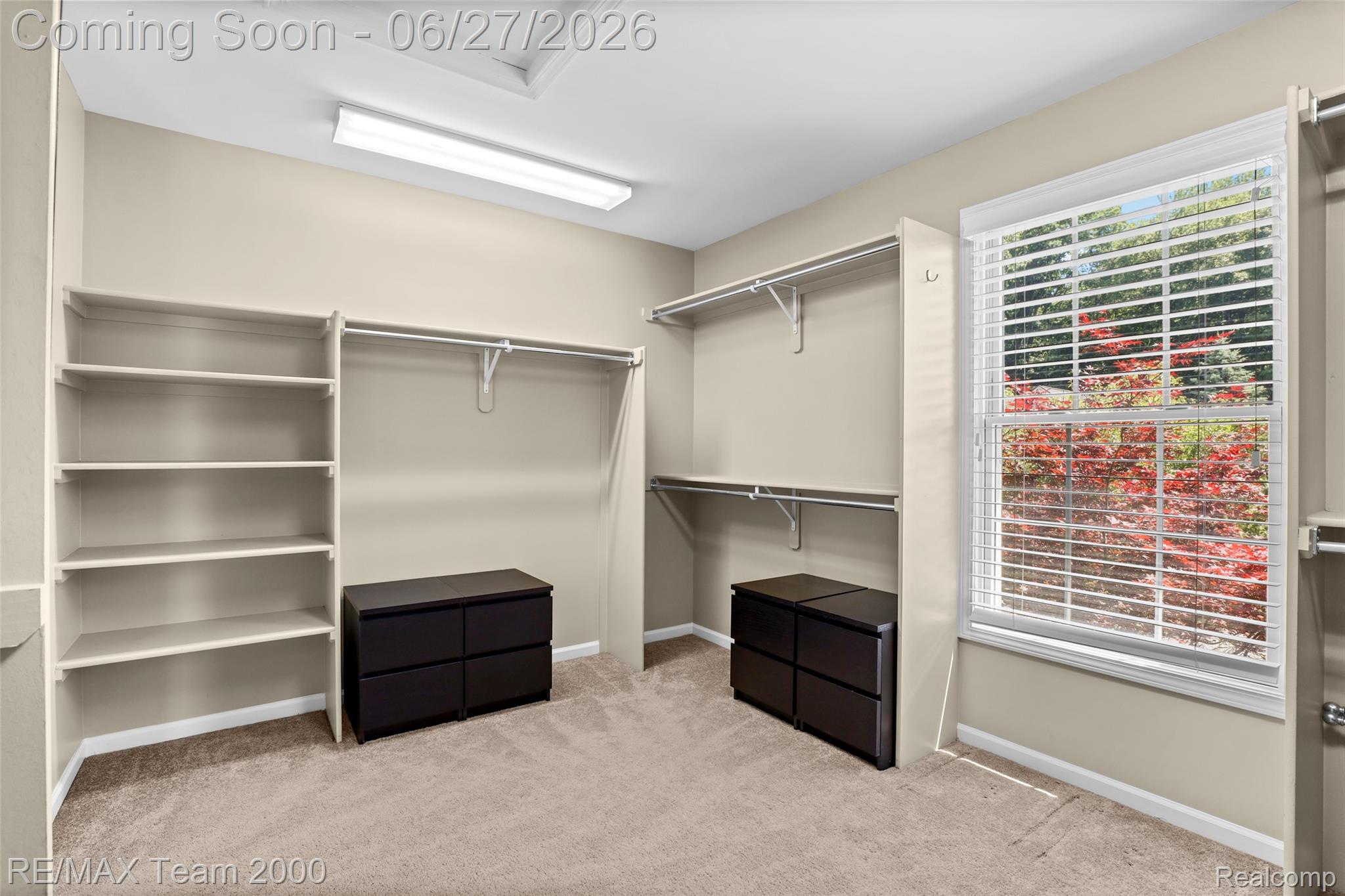 1248 Lasalle Road Canton, MI 48187 - Photo 48 of 67 Spacious closet featuring neutral tone carpeting and extensive built-in shelving