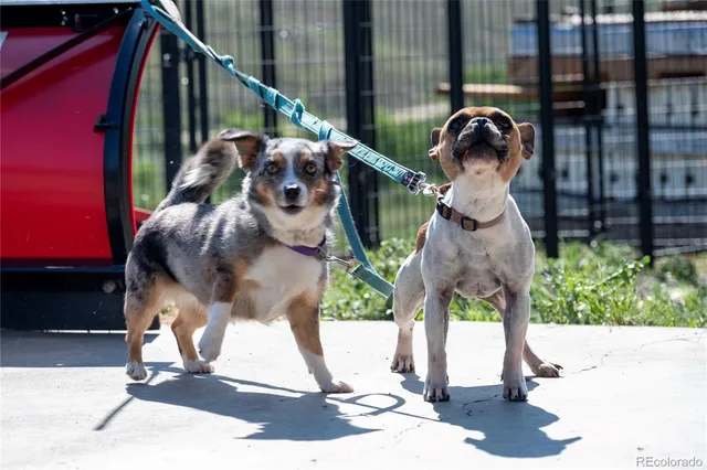 $899,000 | 243 Gcr 21, Parshall, CO 80468