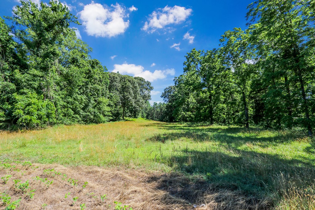 Lot 6 Fleming Road, Unit 6 Horntown, VA 23395 - Photo 3 of 26