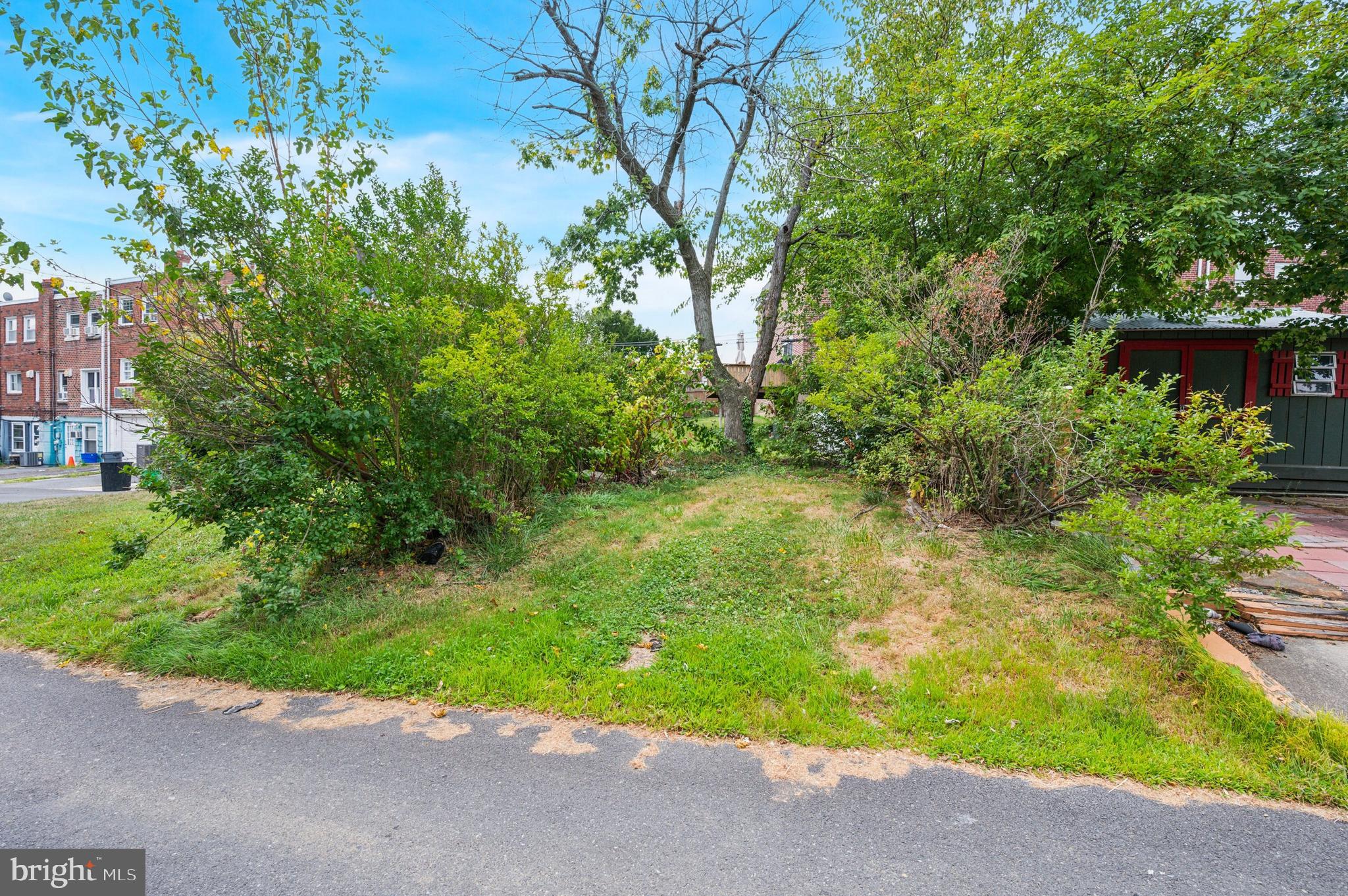 952 Grant Road Folcroft, PA 19032 - Photo 18 of 19 a view of a yard with potted plants and large trees