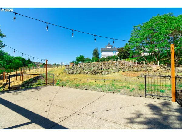 a view of a backyard