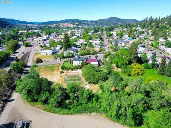 an aerial view of residential houses with outdoor space and trees