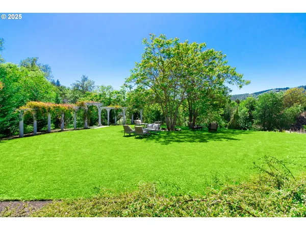 a view of a garden with a bench