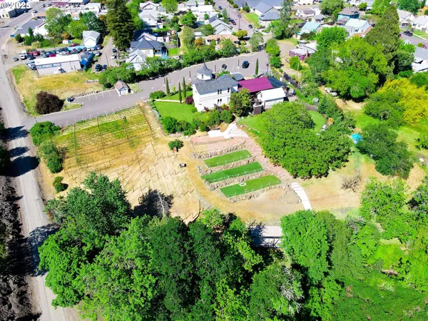 a view of yard with green space