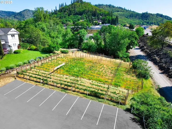 a view of a yard with an umbrella
