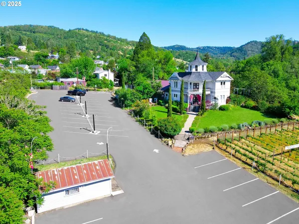 a view of a garden with a bench under an umbrella