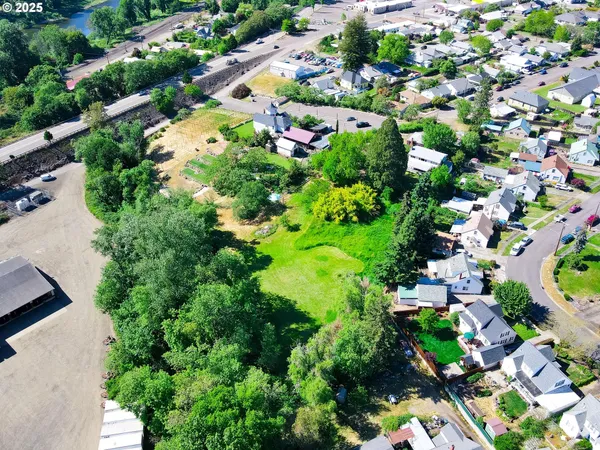 a view of a bunch of flowers in a lot