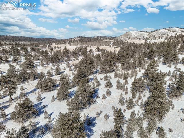 841 Jefferson Road Hartsel, CO 80449 - Photo 2 of 26