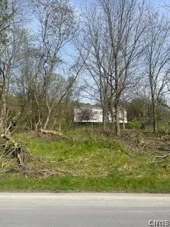 $38,000 | 0 Chestnut Place, New Hartford, NY 13413