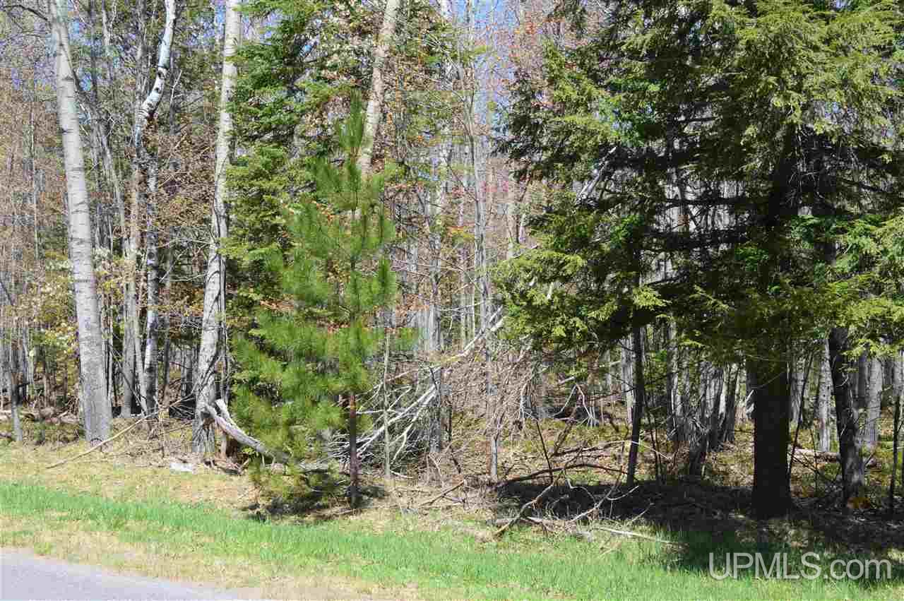 Tbd Lehto Road Lanse, MI 49946 - Photo 11 of 20 Gallery Image 11