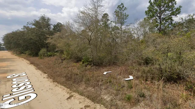 a view of a dry yard with trees