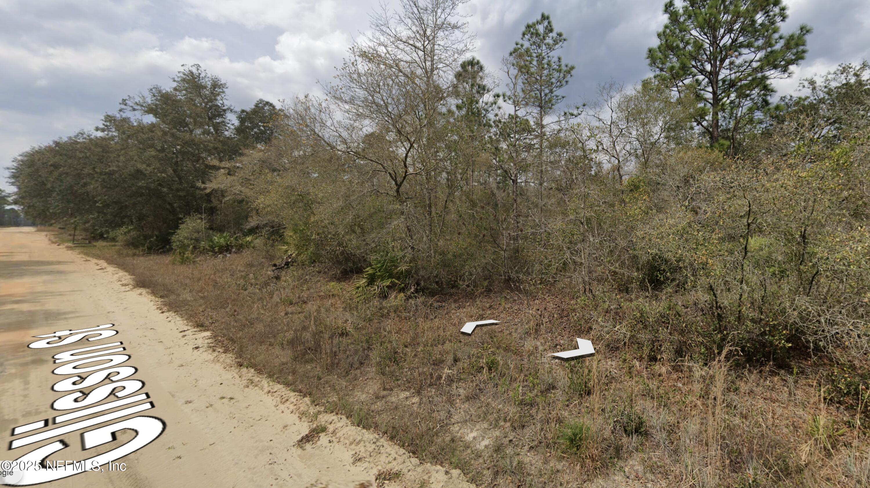 a view of a dry yard with trees