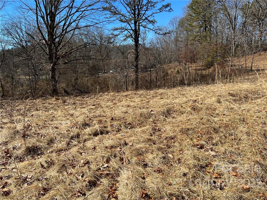 0 Jason Mccall Cemetery Road Balsam Grove, NC 28708 - Photo 1 of 7 Gallery Image 1