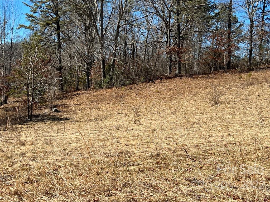 0 Jason Mccall Cemetery Road Balsam Grove, NC 28708 - Photo 5 of 7 Gallery Image 5