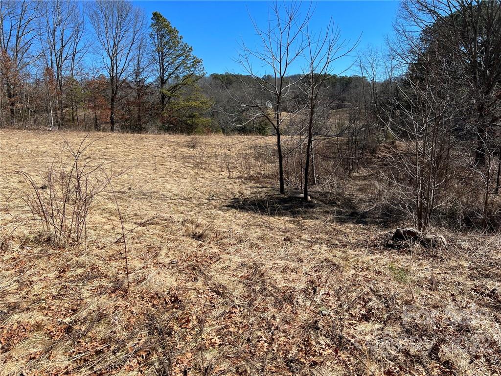 0 Jason Mccall Cemetery Road Balsam Grove, NC 28708 - Photo 7 of 7 Gallery Image 7