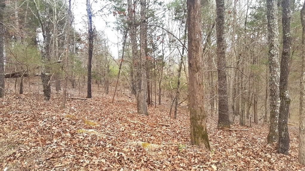 190 Son Moore Road Decatur, TN 37322 - Photo 6 of 8 20180307_145311