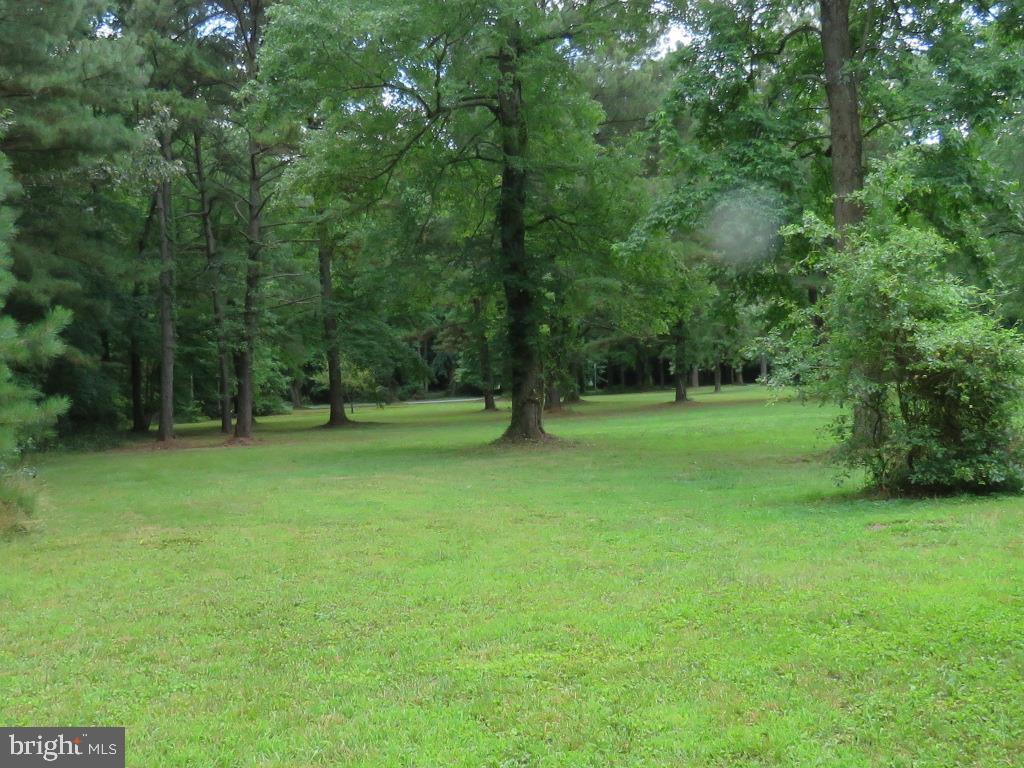 16973 Shiloh Church Road Georgetown, DE 19947 - Photo 17 of 28 FRONT YARD