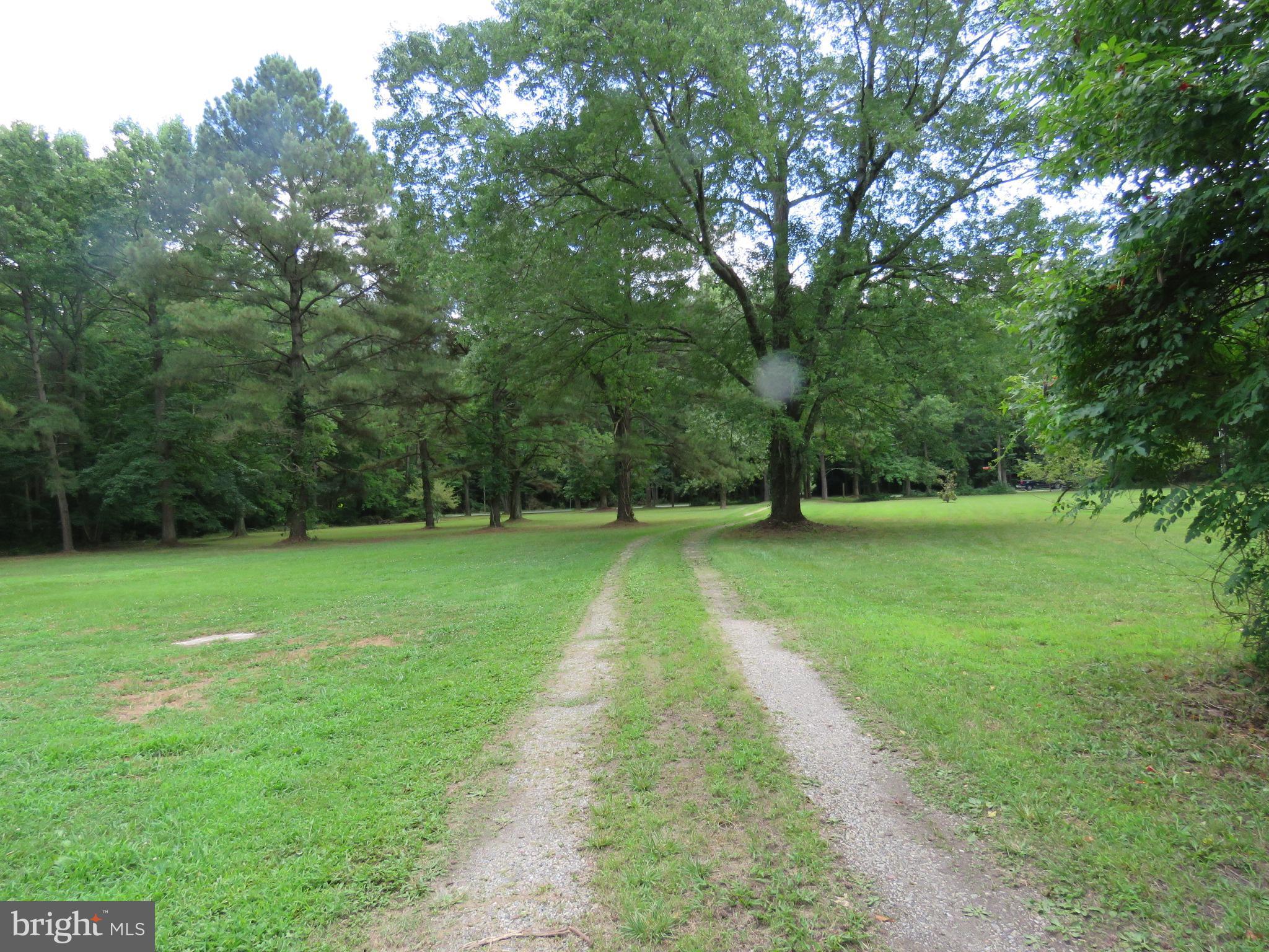 16973 Shiloh Church Road Georgetown, DE 19947 - Photo 18 of 28 VIEW DOWN DRIVEWAY