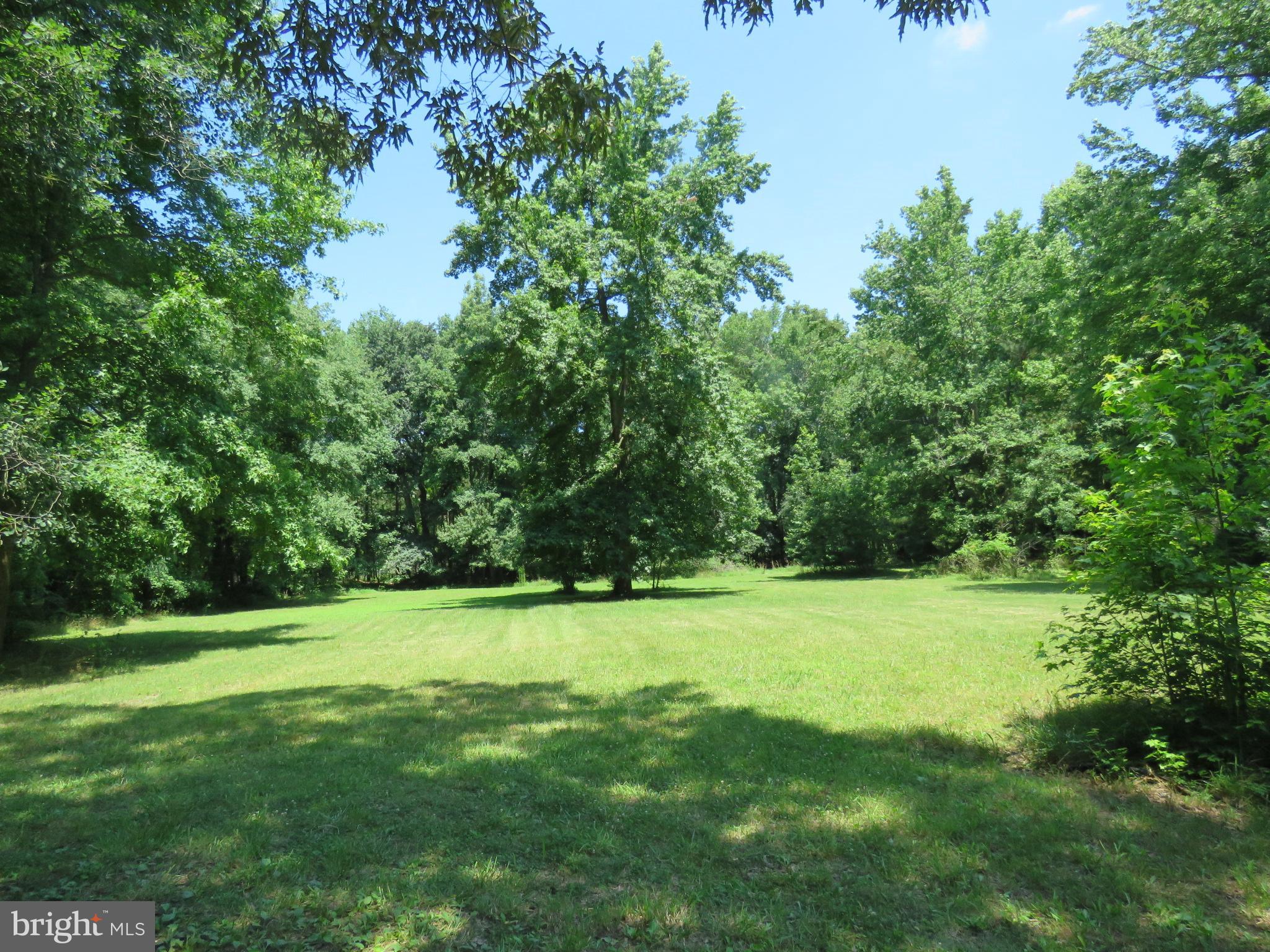 16973 Shiloh Church Road Georgetown, DE 19947 - Photo 19 of 28 EXPANSIVE YARD
