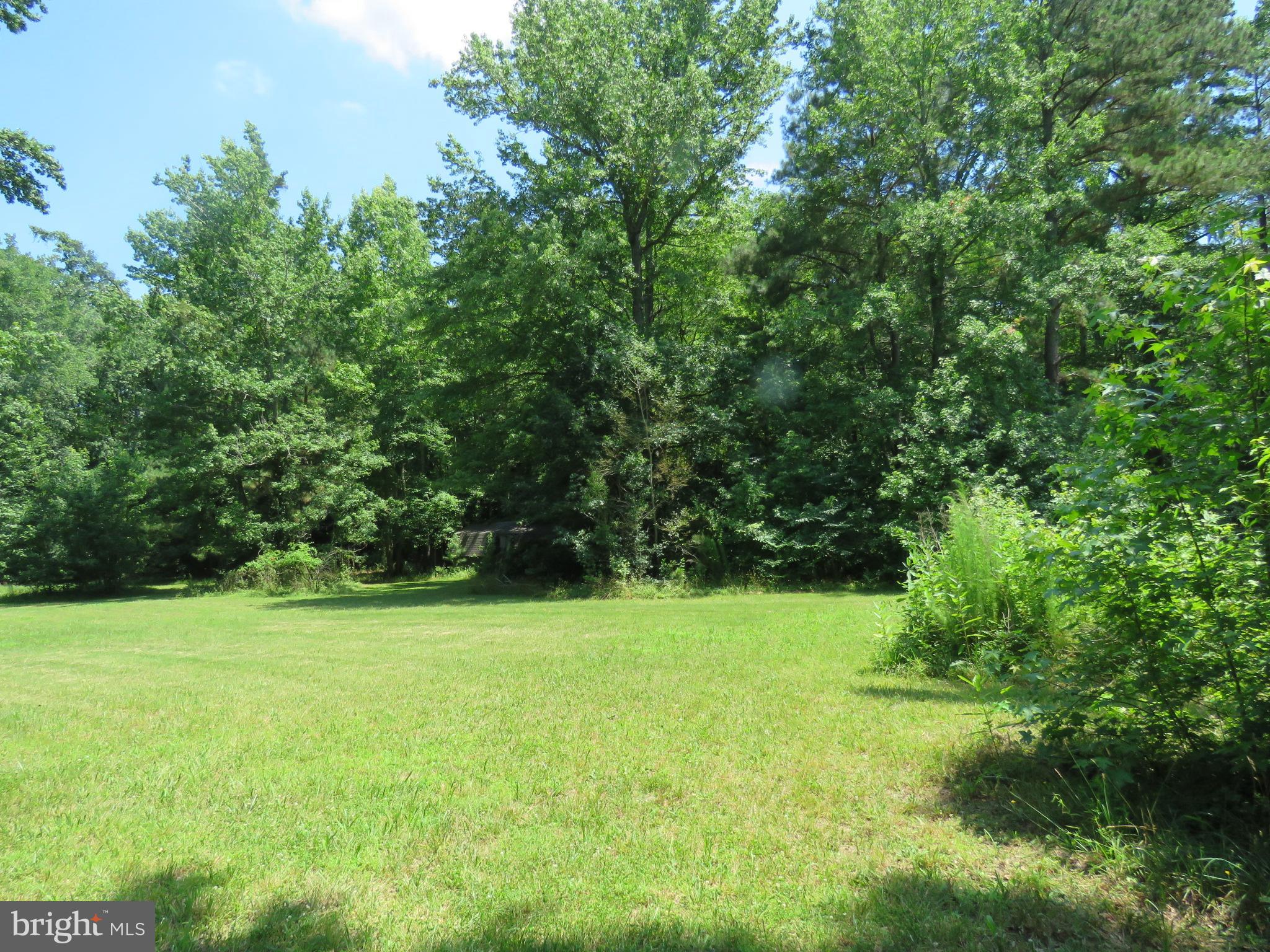 16973 Shiloh Church Road Georgetown, DE 19947 - Photo 20 of 28 EXPANSIVE YARD