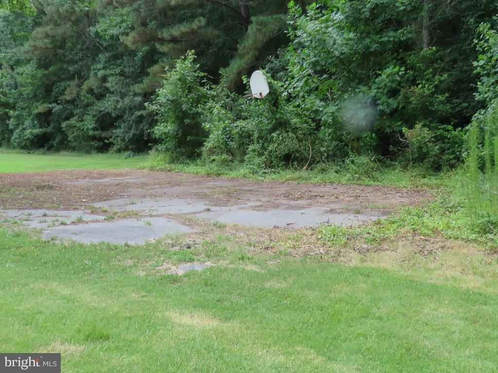 16973 Shiloh Church Road Georgetown, DE 19947 - Photo 21 of 28 LEFT SIDE YARD