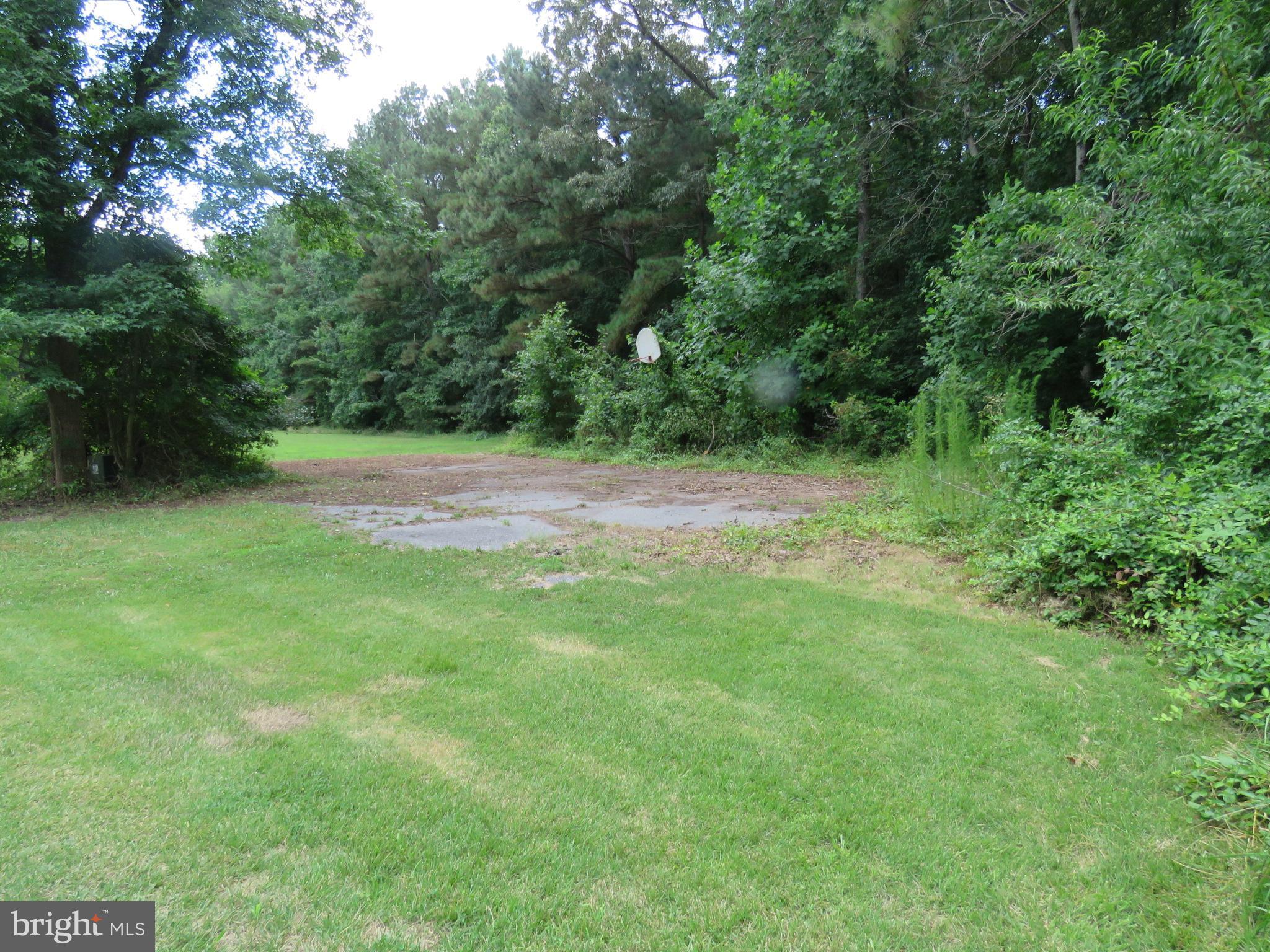 16973 Shiloh Church Road Georgetown, DE 19947 - Photo 22 of 28 LEFT SIDE YARD