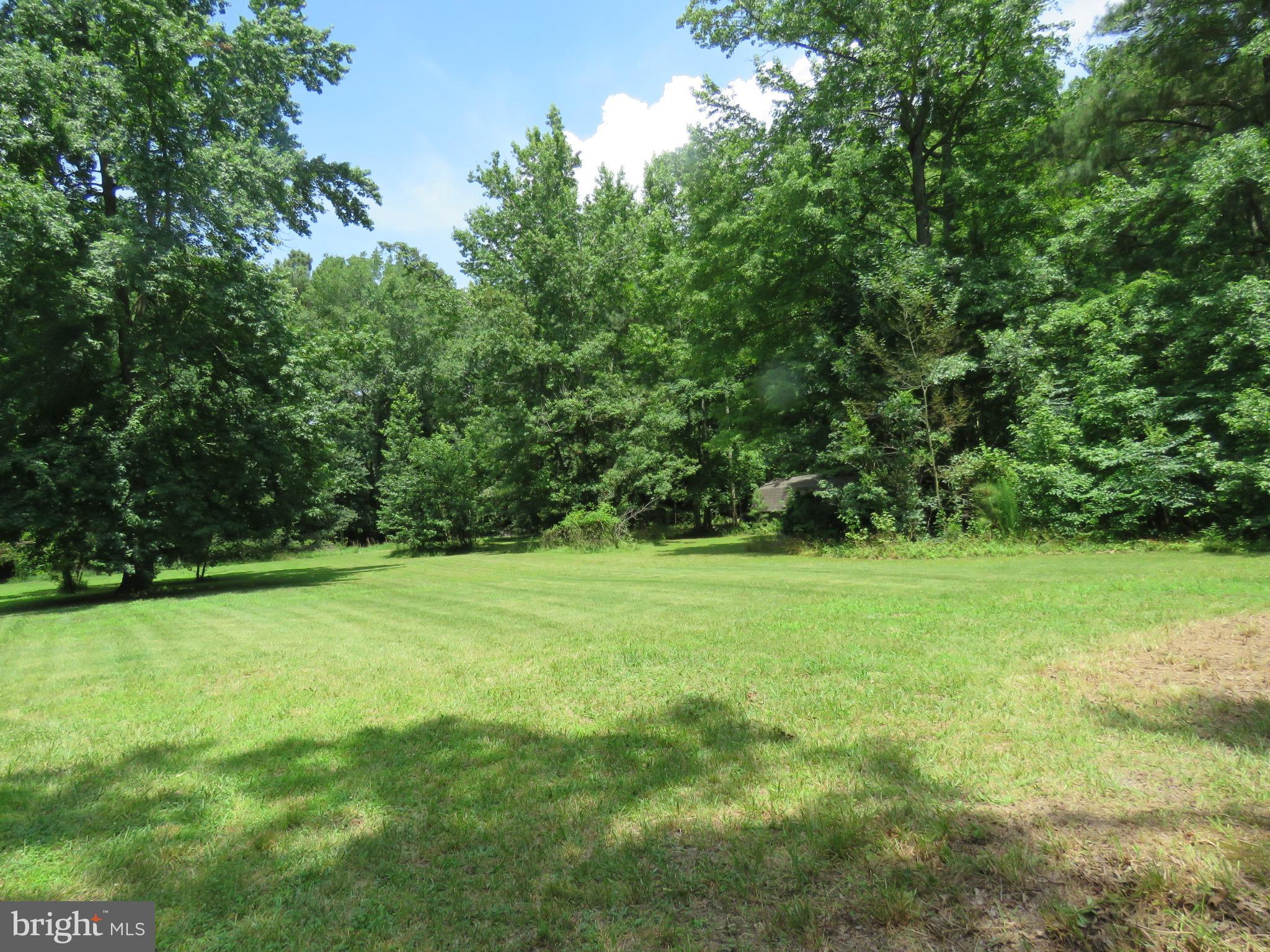 16973 Shiloh Church Road Georgetown, DE 19947 - Photo 25 of 28 BACK YARD