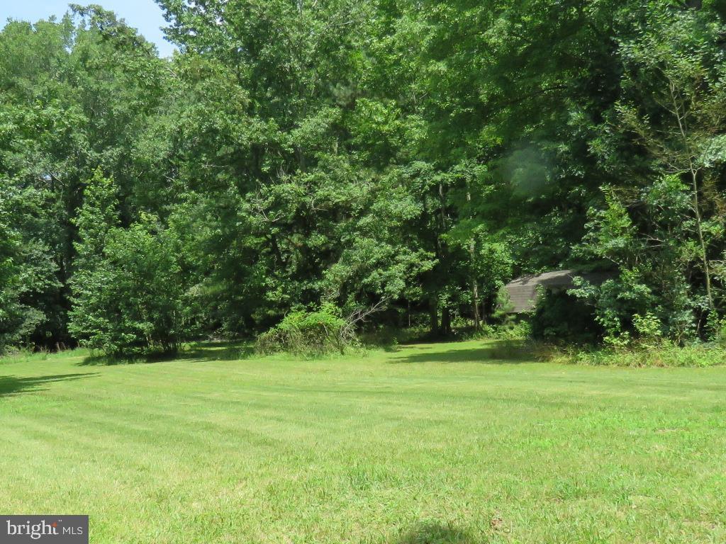 16973 Shiloh Church Road Georgetown, DE 19947 - Photo 6 of 28 BACK YARD