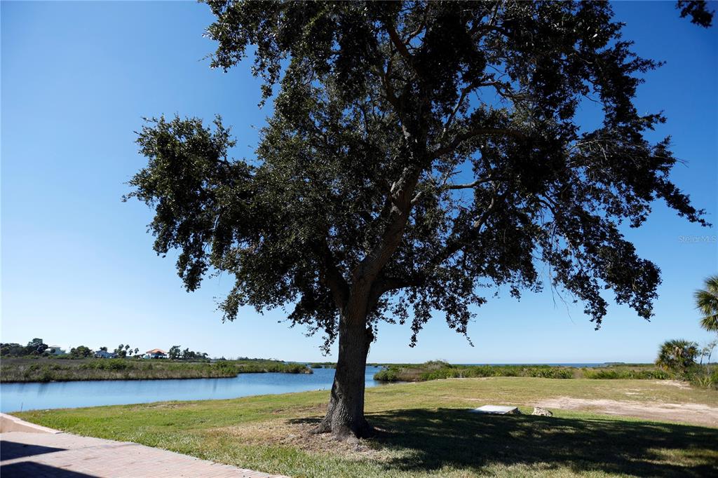 3194 Indian Gulf Lane Spring Hill, FL 34607 - Photo 32 of 38 a view of a large body of water with a large tree