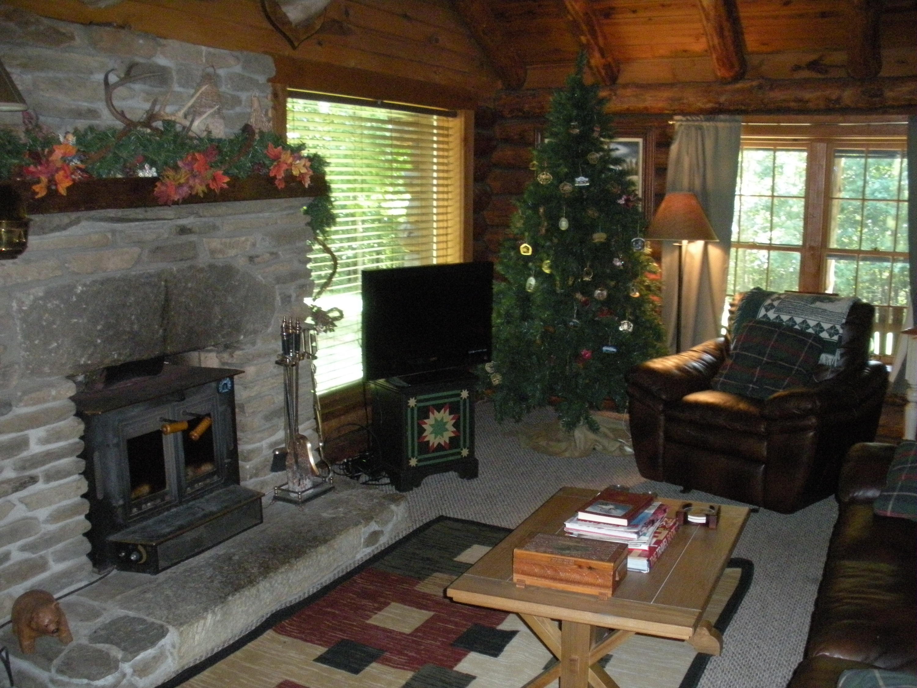383 Tharp Creek Road Ferrum, VA 24088 - Photo 13 of 35 DSCN3088