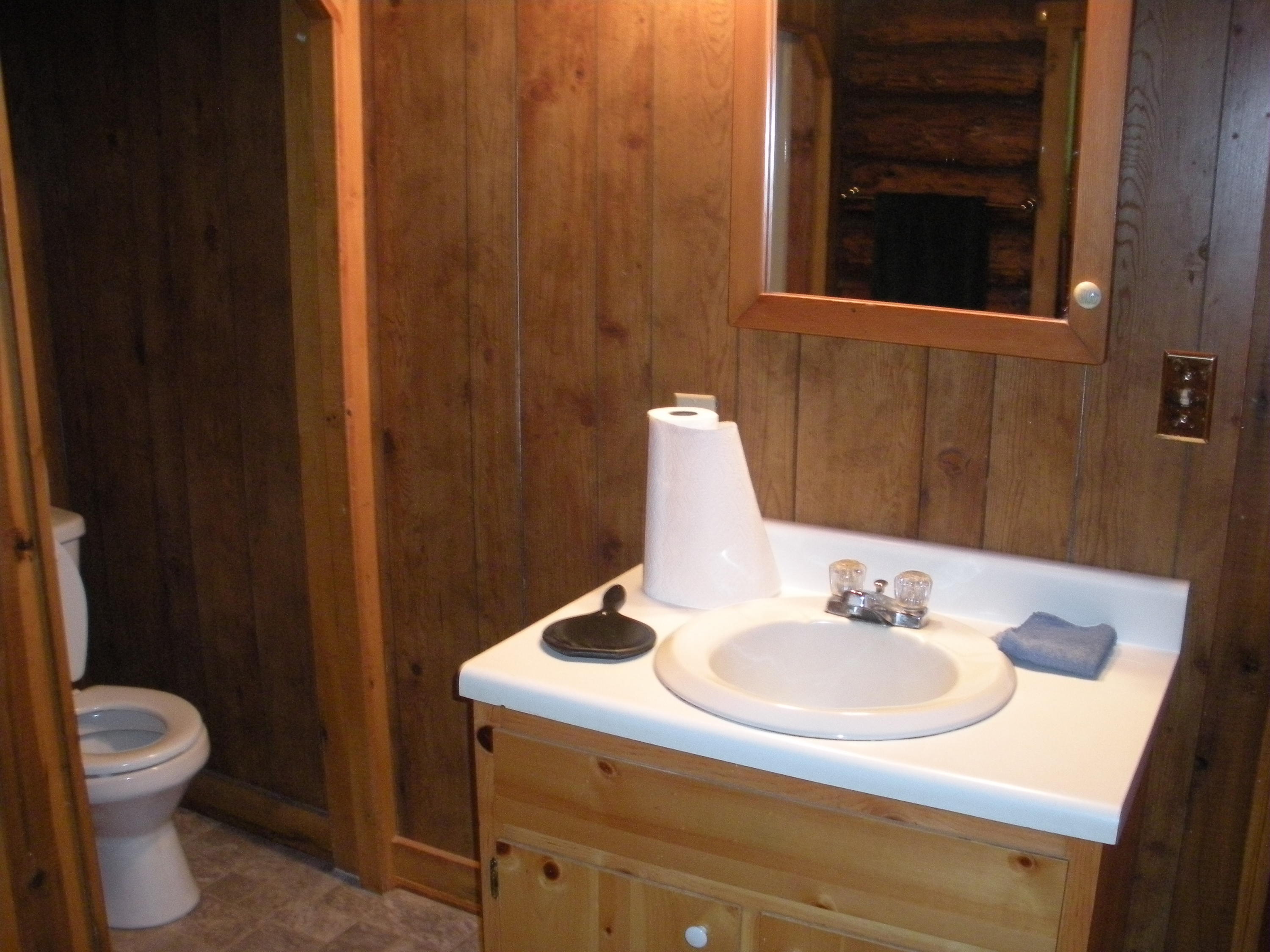 383 Tharp Creek Road Ferrum, VA 24088 - Photo 7 of 35 DSCN3082