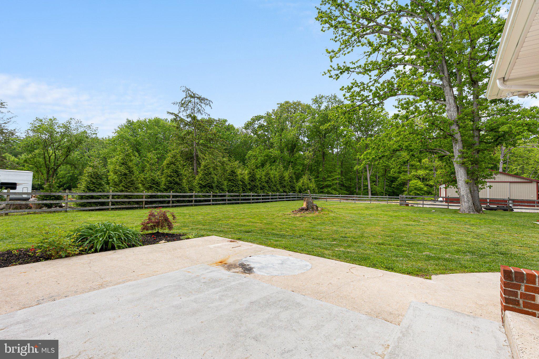 351 Cat Swamp Road Elkton, MD 21921 - Photo 23 of 34 Concrete patio in back yard