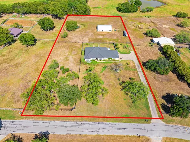 a view of a garden with plants