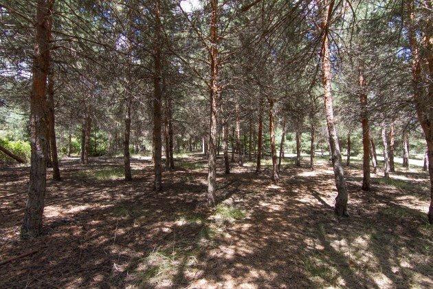 370 Pair A Dice Ranch Road Jacksonville, OR 97530 - Photo 28 of 35 Additional Photo