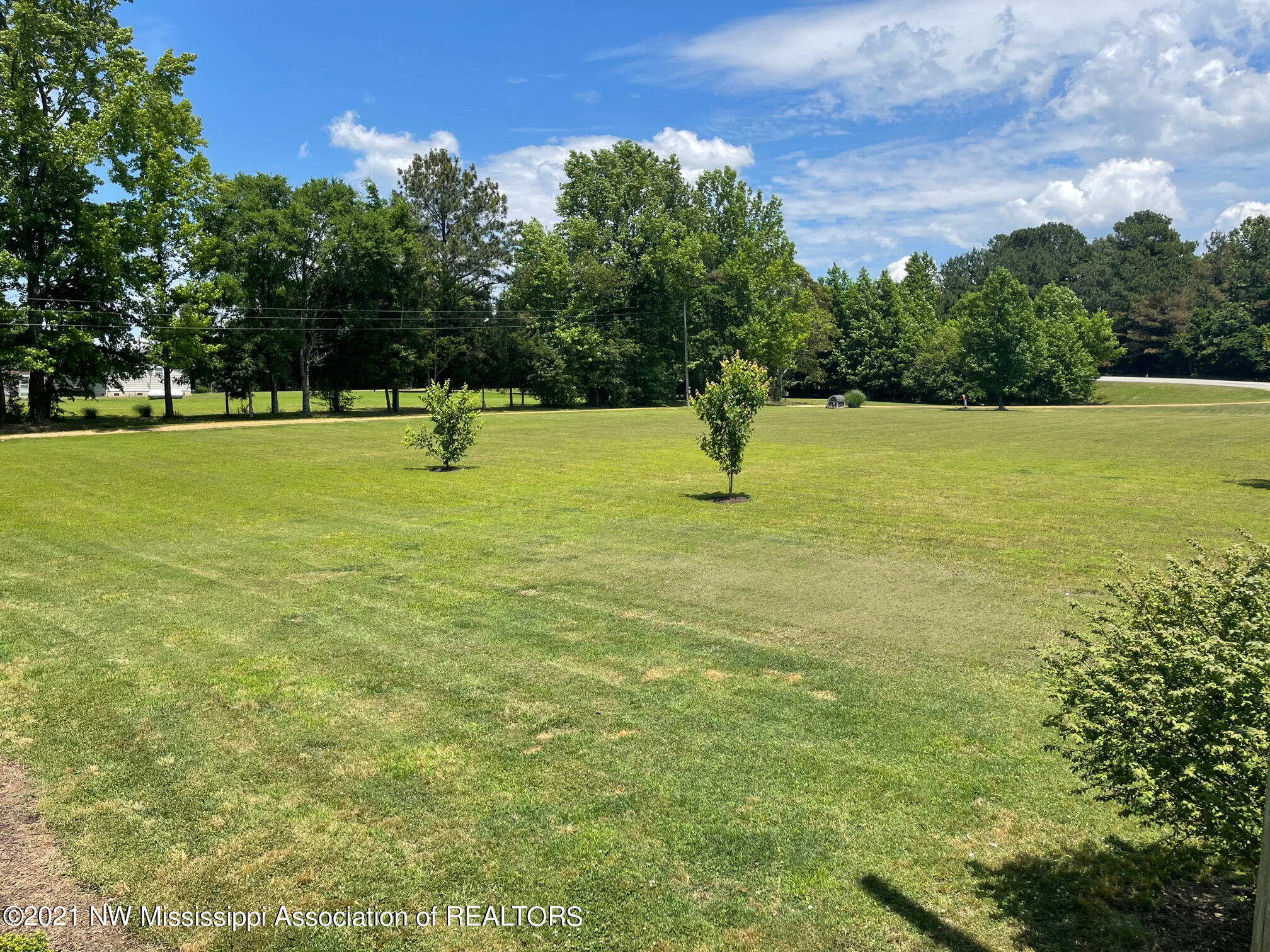 188 Watkins Road Byhalia, MS 38611 - Photo 6 of 39 Front Yard 2