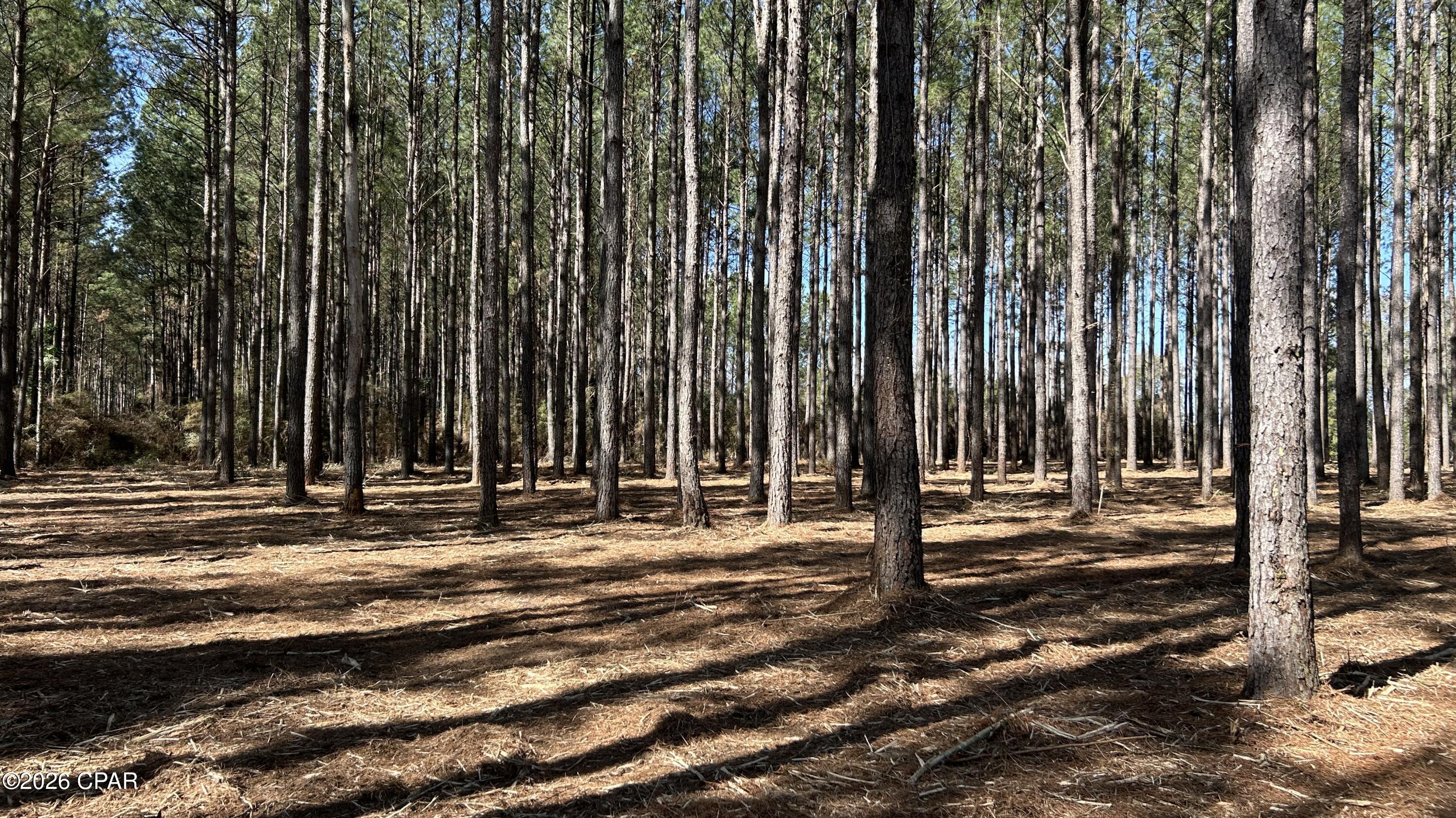 0 Grimes Road, Unit LOT #1 Laurel Hill, FL 32567 - Photo 11 of 27