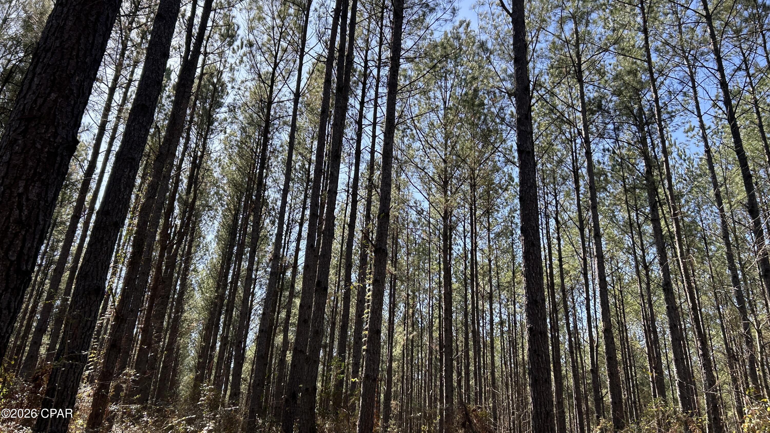 0 Grimes Road, Unit LOT #1 Laurel Hill, FL 32567 - Photo 13 of 27