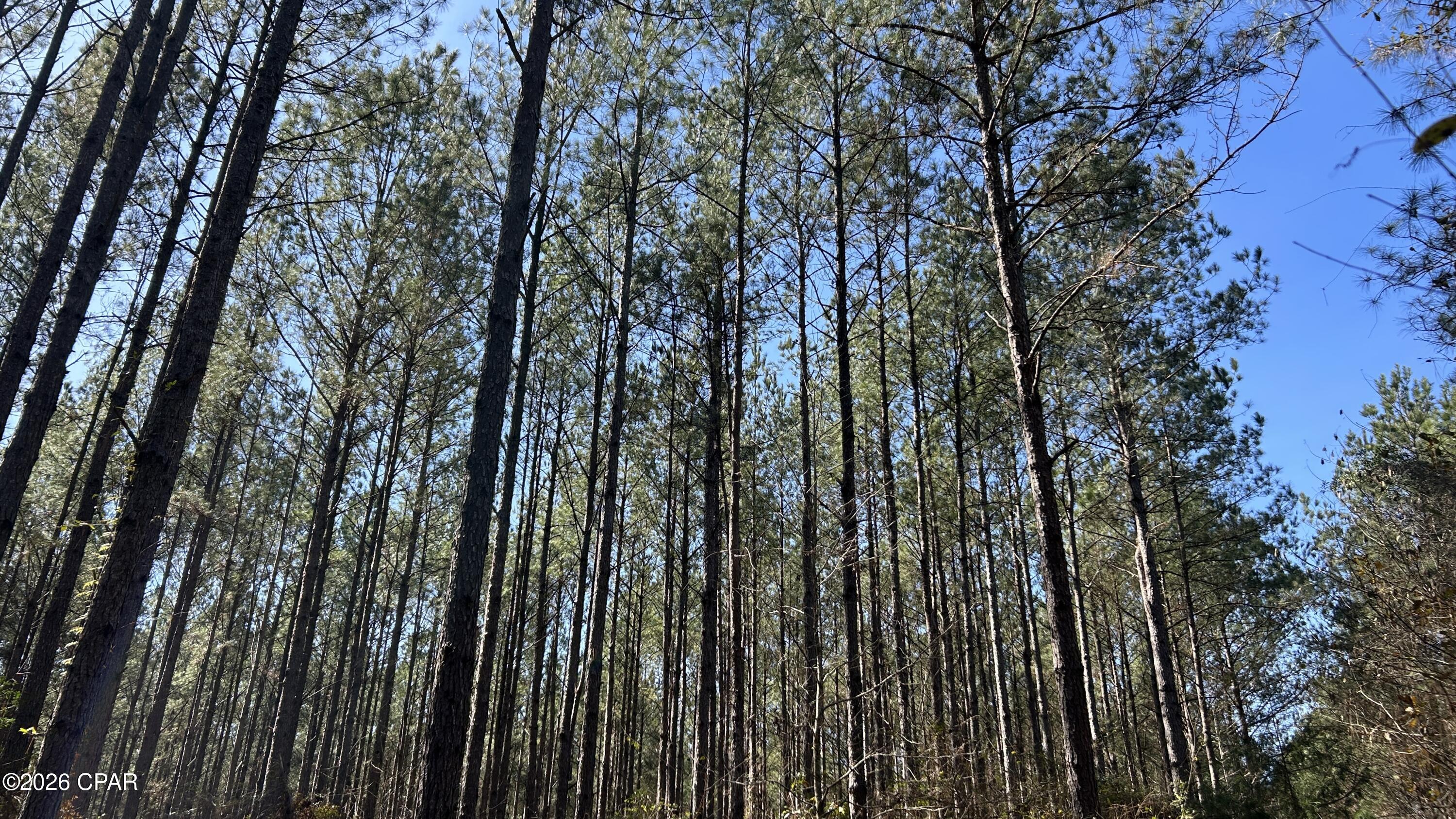 0 Grimes Road, Unit LOT #1 Laurel Hill, FL 32567 - Photo 14 of 27