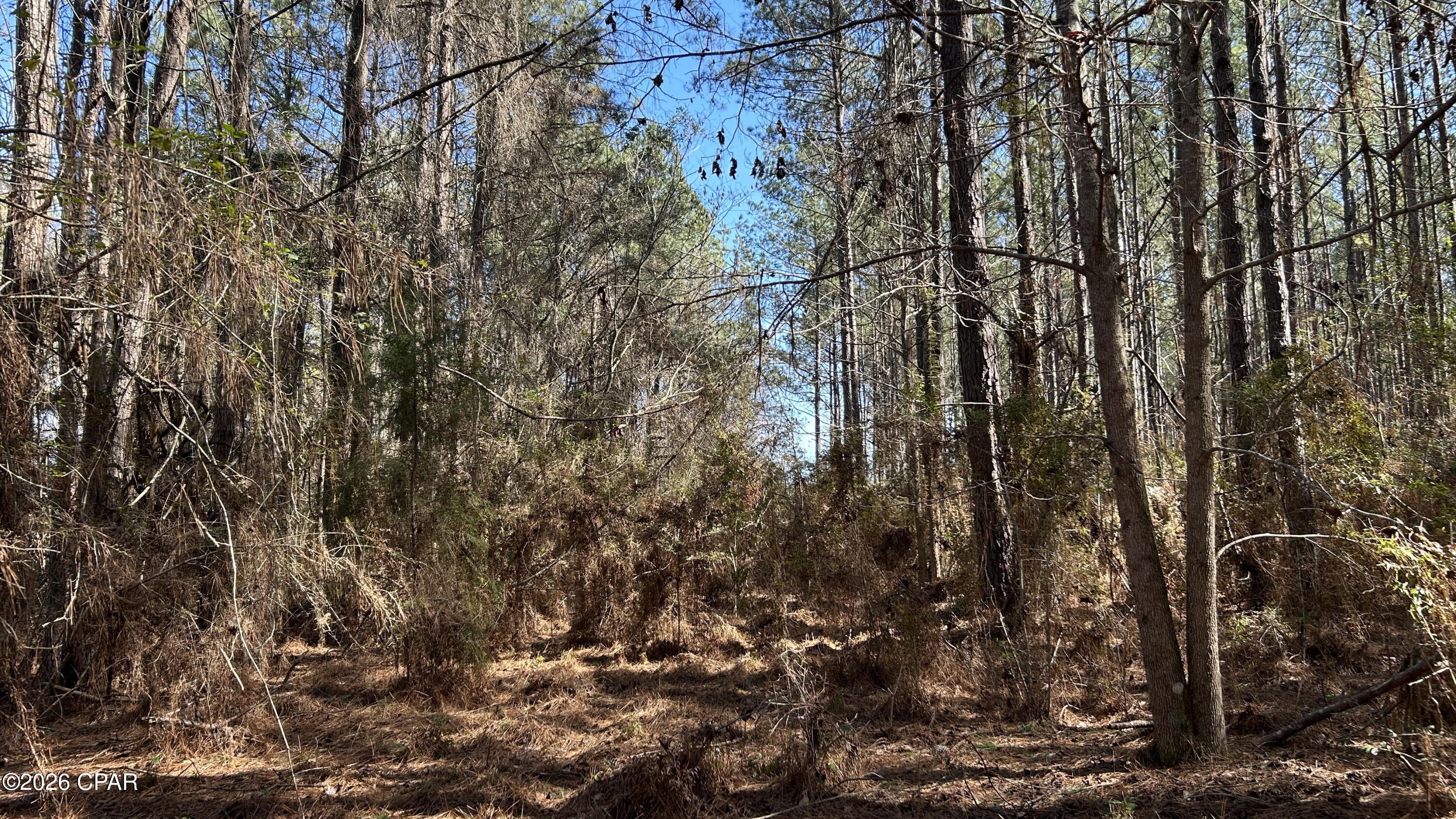 0 Grimes Road, Unit LOT #1 Laurel Hill, FL 32567 - Photo 17 of 27