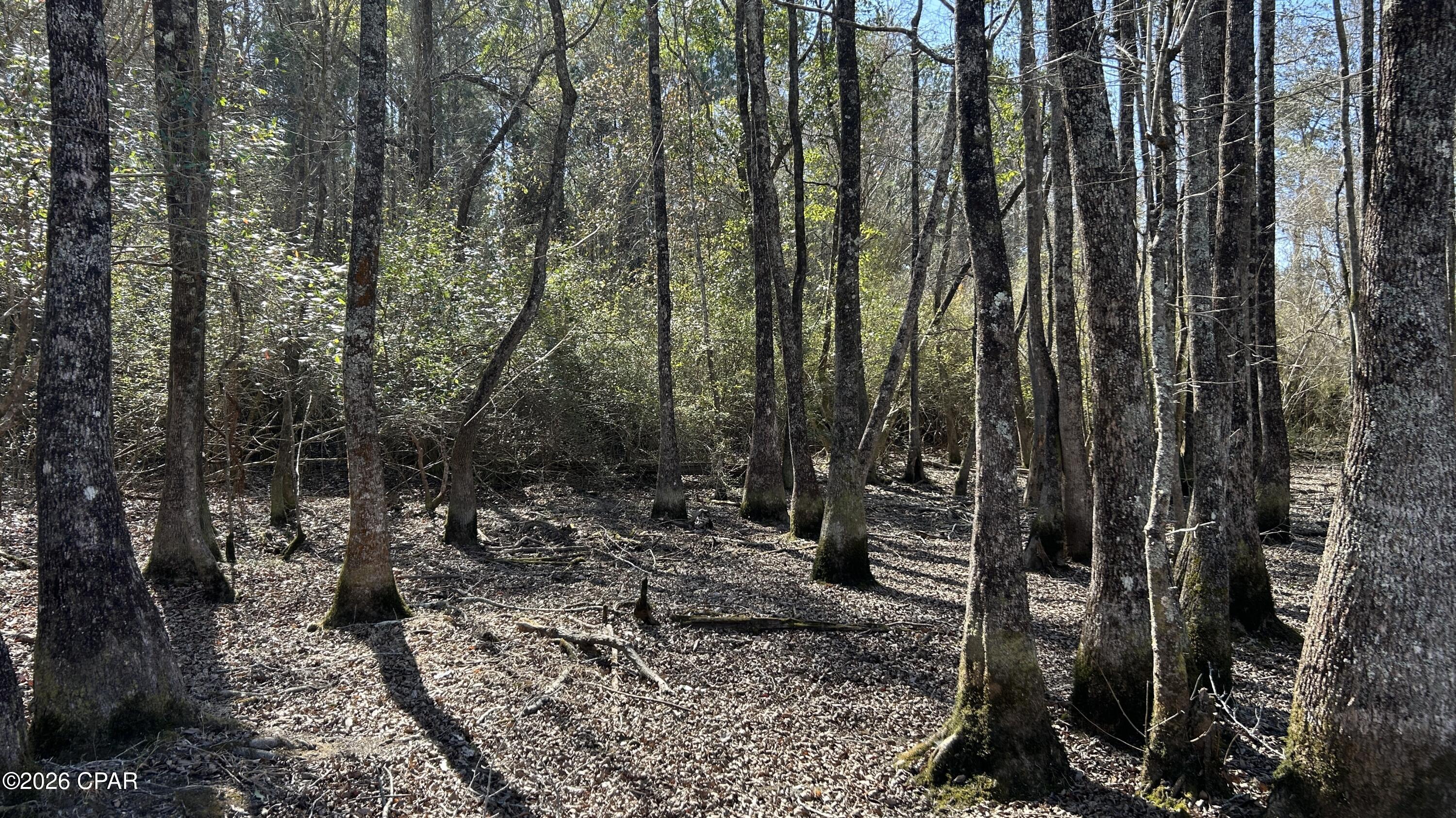 0 Grimes Road, Unit LOT #1 Laurel Hill, FL 32567 - Photo 18 of 27