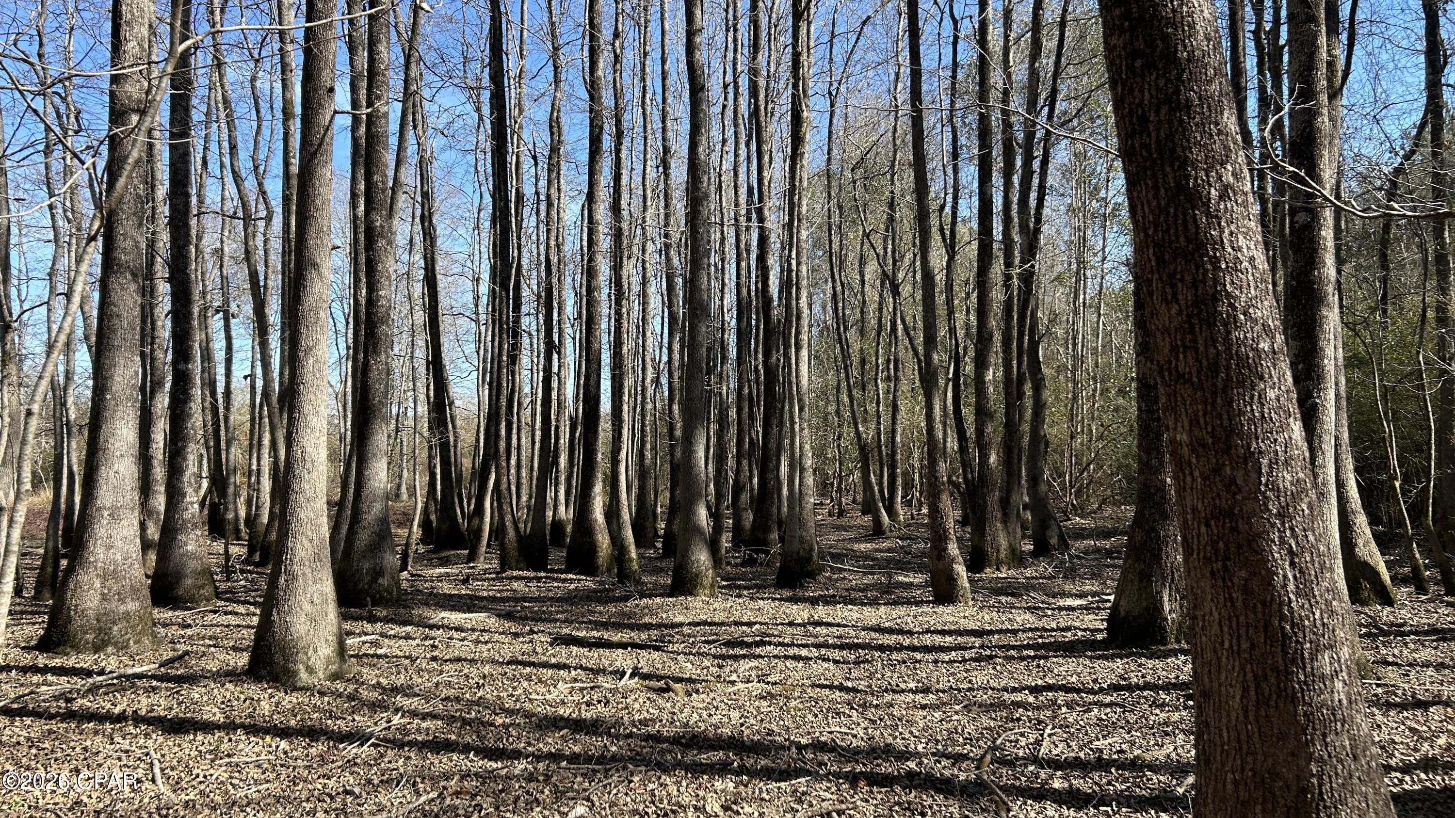 0 Grimes Road, Unit LOT #1 Laurel Hill, FL 32567 - Photo 19 of 27