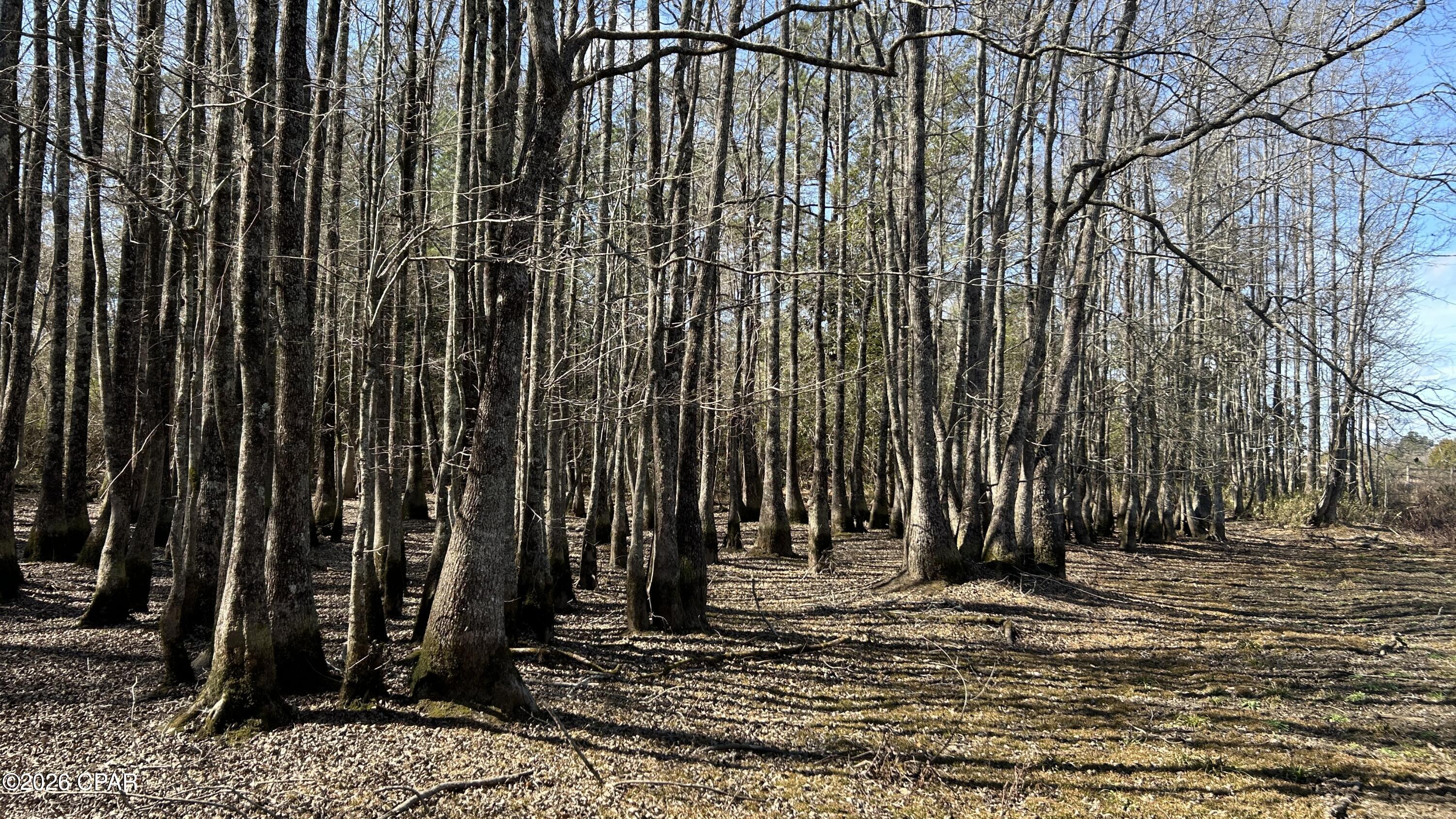 0 Grimes Road, Unit LOT #1 Laurel Hill, FL 32567 - Photo 20 of 27