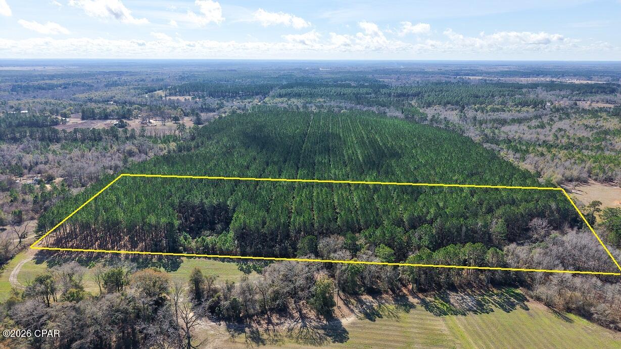 0 Grimes Road, Unit LOT #1 Laurel Hill, FL 32567 - Photo 2 of 27