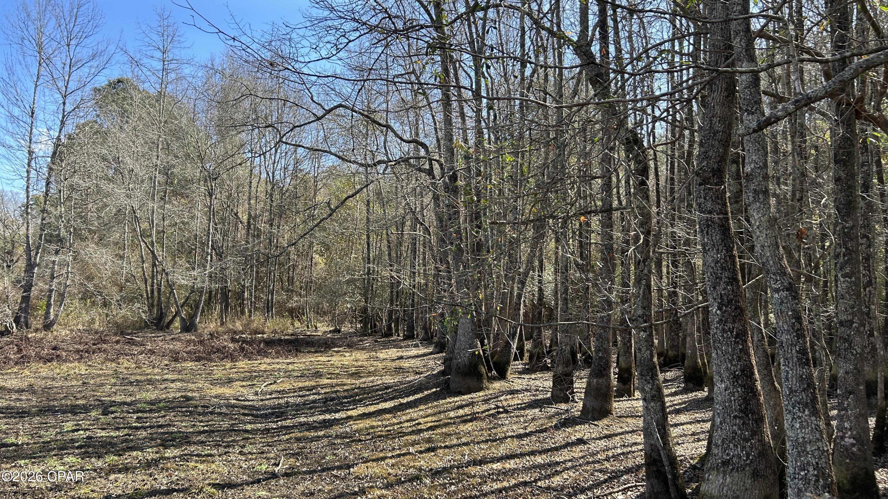 0 Grimes Road, Unit LOT #1 Laurel Hill, FL 32567 - Photo 23 of 27
