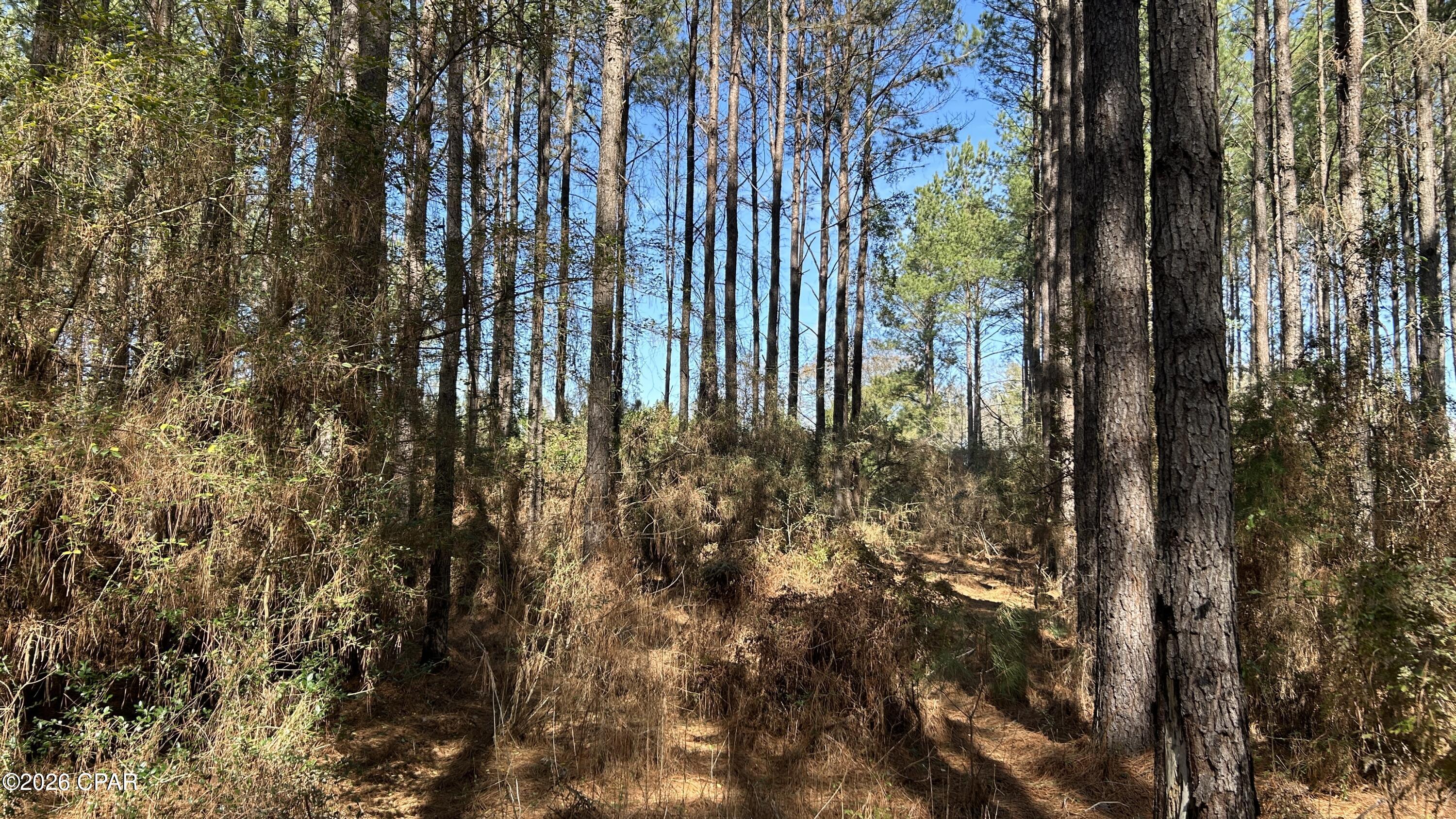 0 Grimes Road, Unit LOT #1 Laurel Hill, FL 32567 - Photo 24 of 27